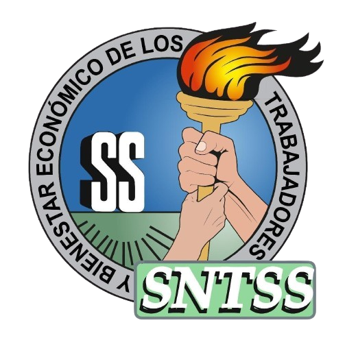 Logo IMSS